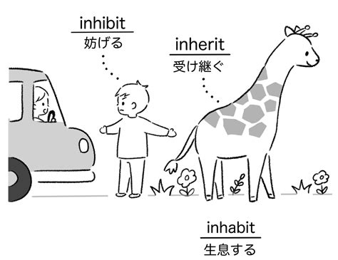 intimate 覚え方|intimate と intimidate の違いと覚え方